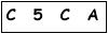 salt-661C2831