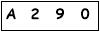 salt-4A8B8074