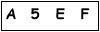 salt-1E775DB4